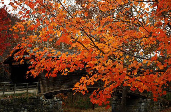 Humpback Bridge Poster featuring the photograph Fall At Humpback Bridge by Cathy Shiflett