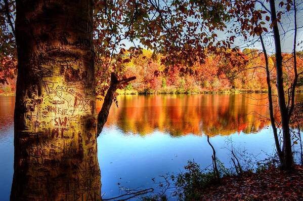 Fall Poster featuring the photograph Many have been here - Fall at Orange Hunt Lake by Ronda Ryan