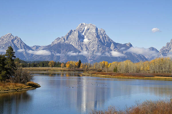 Tetons Poster featuring the photograph Fall at Teton -1 by Shirley Mitchell