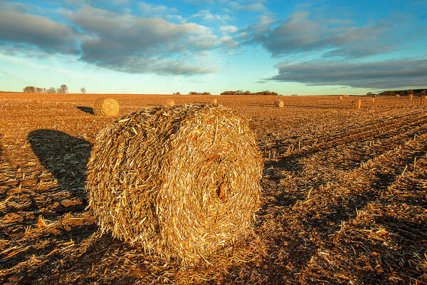 Corn Stalks Poster featuring the photograph Fall Bale by Todd Klassy