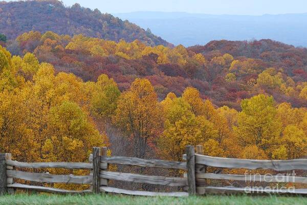 Fence Poster featuring the photograph Fall Blend by Eric Liller