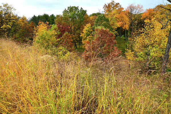 Mchenry County Poster featuring the photograph Fall Color Comes to Bull Valley by Ray Mathis