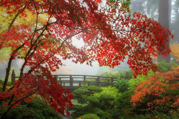 Fall Poster featuring the photograph Fall Colors by the Moon Bridge by David Gn