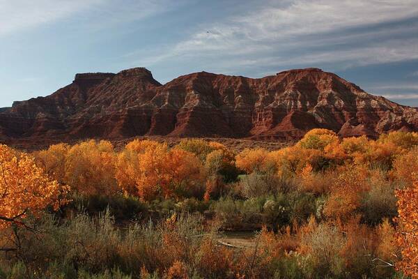 Fall Foliage Zion Nat. Park Landscape Poster featuring the photograph Fall Colors Near Zion by Barbara Smith-Baker