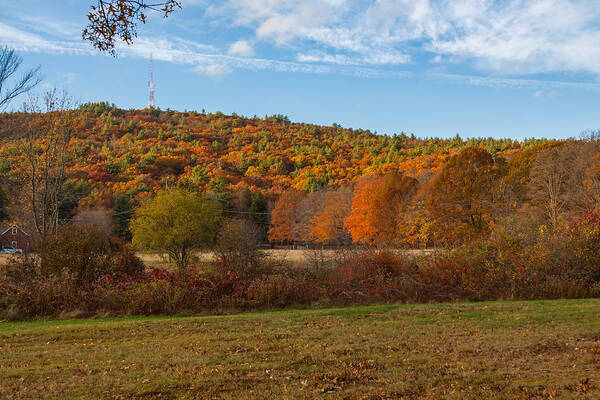 Massachusetts Poster featuring the photograph Fall Colors on Great Blue Hill by Brian MacLean