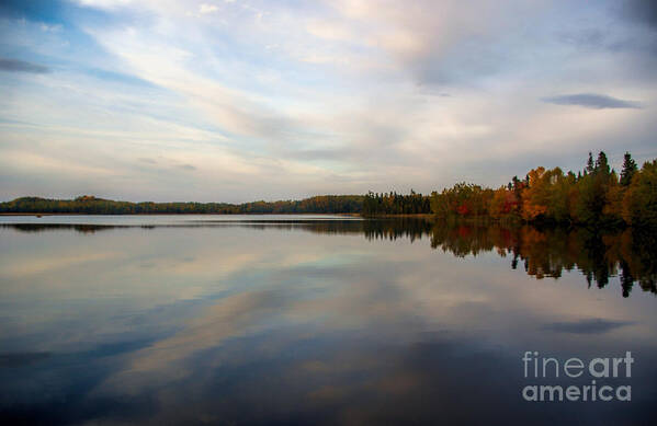 Fall Poster featuring the photograph Fall Colours by Lynn Bolt