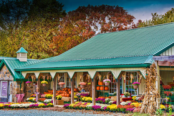 Fall Harvest Time Poster featuring the photograph Fall Harvest Times by Kathy Liebrum Bailey