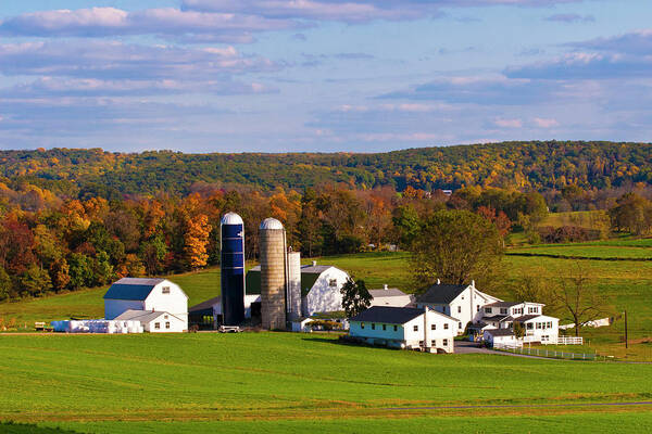 Amish Poster featuring the photograph Fall in Amish Country by Lou Ford