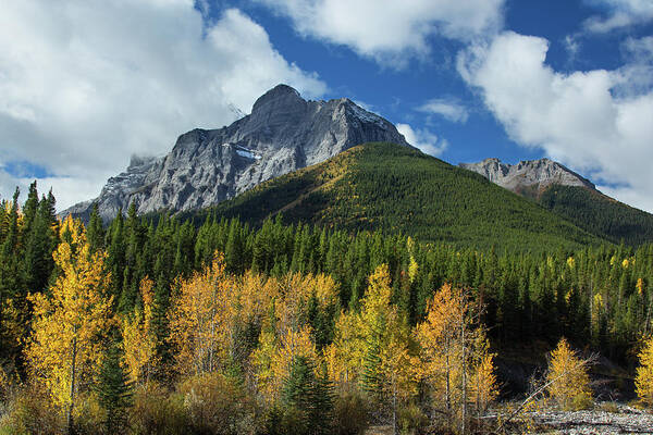 Clouds Poster featuring the photograph Fall in the Rockies by Celine Pollard
