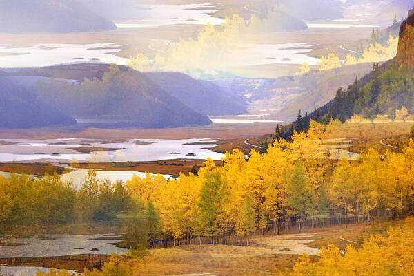 Fall Poster featuring the photograph Fall in the Rockies by Marty Koch