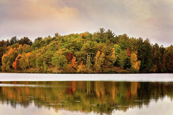 Michigan Fall Landscape Poster featuring the photograph Fall Landscape Michigan by Gwen Gibson