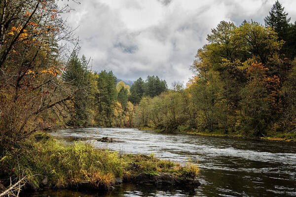 Mckenzie River Poster featuring the photograph Fall on the McKenzie River by Belinda Greb