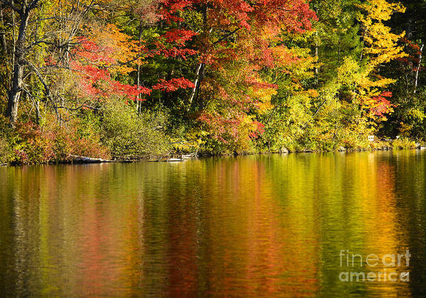 Fall Poster featuring the photograph Fall Reflections by Alana Ranney