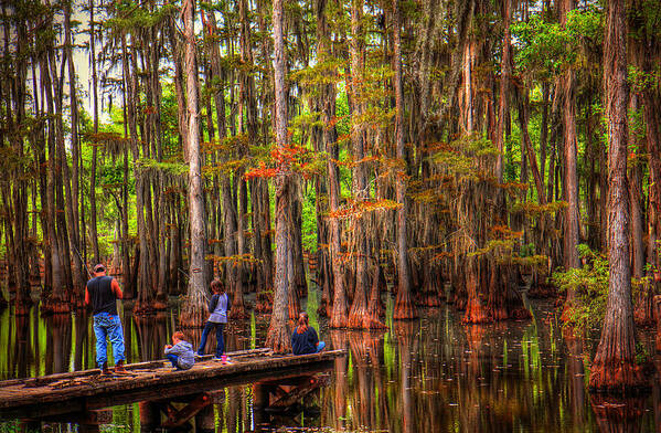 Southern Swamp Poster featuring the photograph Family Bayou Fishing by Ester McGuire