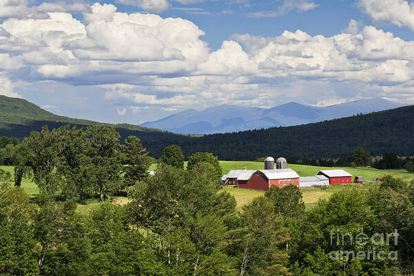Summer Poster featuring the photograph Farm In Summer Landscape by Alan L Graham