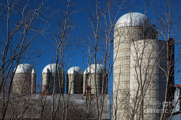 Silo Poster featuring the photograph Farm Silos by Jim West