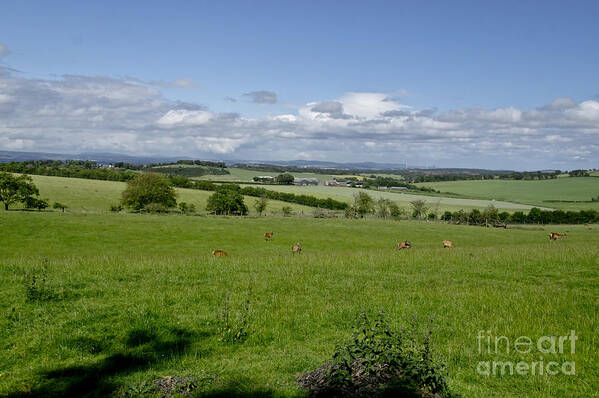 Beecraigs Poster featuring the photograph Farmland in Beecraigs. by Elena Perelman