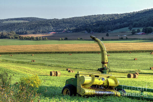 Farm Poster featuring the photograph Farmland by Rod Best