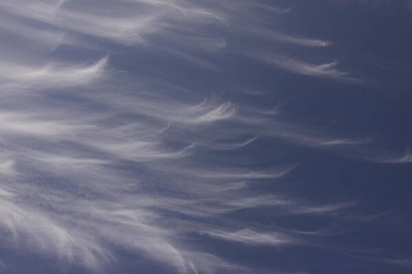 Sky Blue Clouds White Feather Photography Photograph Poster featuring the photograph Feathery Sky by Shari Jardina