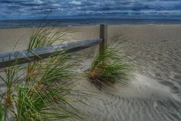Beach Poster featuring the photograph Fence and Dune Grass by Frank Morris