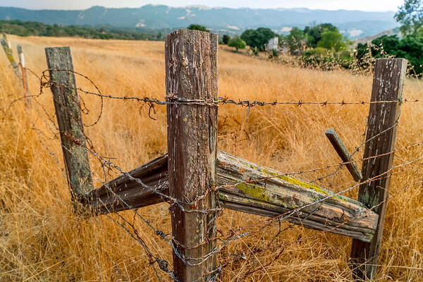Ranch Poster featuring the photograph Fence Posts by Derek Dean