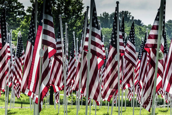 4th. Stripes Poster featuring the photograph Field of Honor #1 by Thomas Marchessault