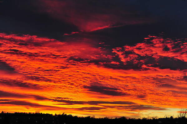 Sky Poster featuring the photograph Fiery Close of Day by Randi Grace Nilsberg