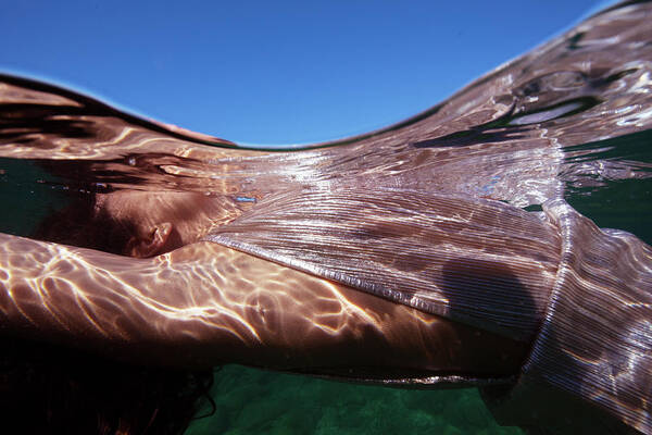 Swim Poster featuring the photograph Fiesta by Gemma Silvestre