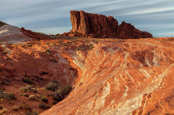 Valley Of Fire Poster featuring the photograph Fire Rock by Jonathan Nguyen