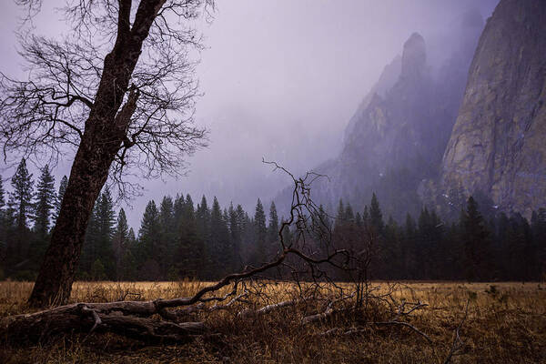 First Snow In Yosemite Valley Poster featuring the photograph First Snow In Yosemite Valley by Priya Ghose