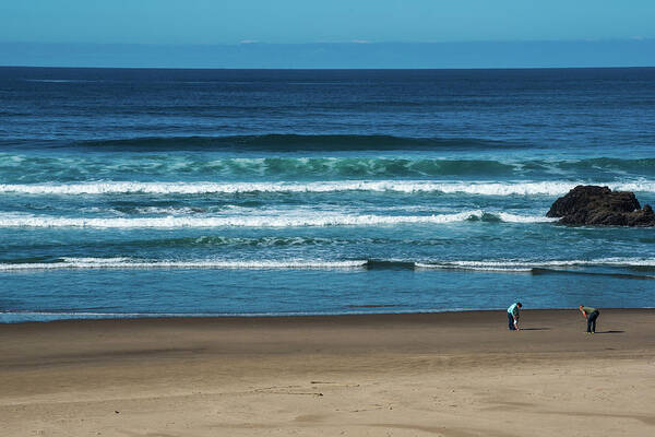 Oregon Poster featuring the photograph First Steps on the Sand by Tom Cochran