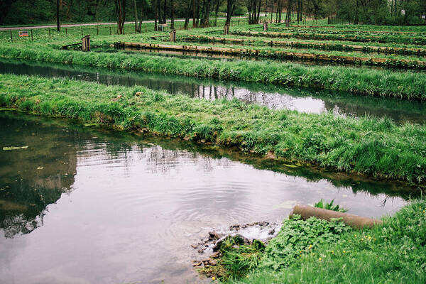 Farming Poster featuring the photograph Fish Farm by Pati Photography