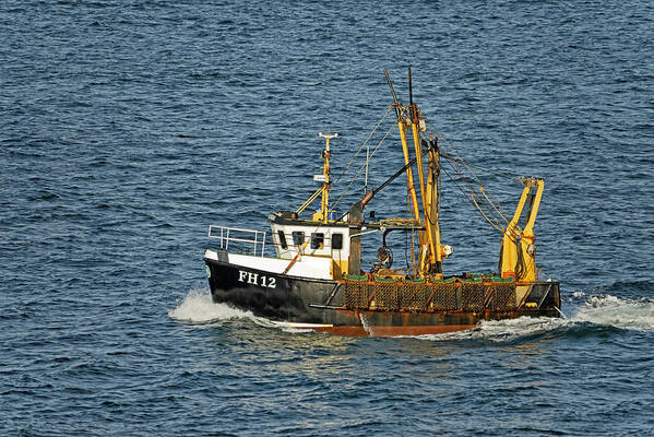 Europe Poster featuring the photograph Fishing Boat FH12 off Pendennis Point by Rod Johnson