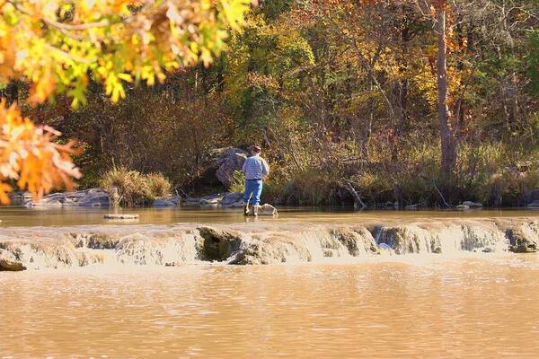Nature Poster featuring the photograph Fishing in Fall by Sheila Brown