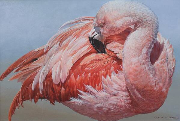 Wildlife Paintings Poster featuring the painting Flamingo Preening by Alan M Hunt