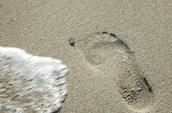 Footprint Poster featuring the photograph Fleeting Footprint - South Beach Miami by Frank Mari