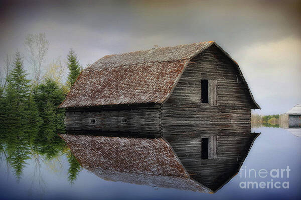 Barn Poster featuring the photograph Flooded Barn by Teresa Zieba