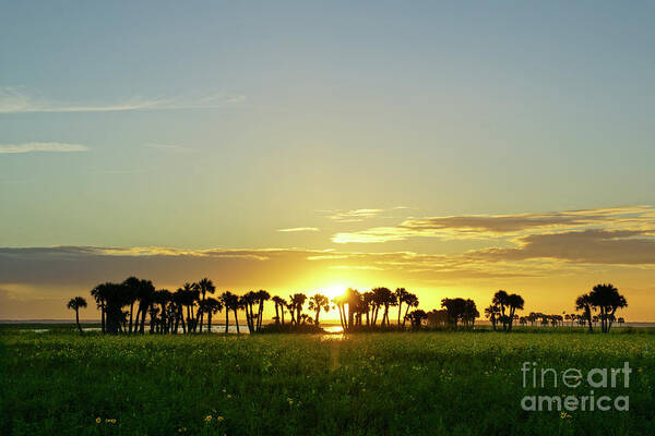  Back Lit Poster featuring the photograph Florida Sunrise by Brian Kamprath