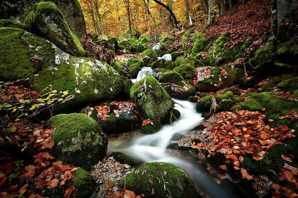 Jorgemaiaphotographer Poster featuring the photograph Flow by Jorge Maia