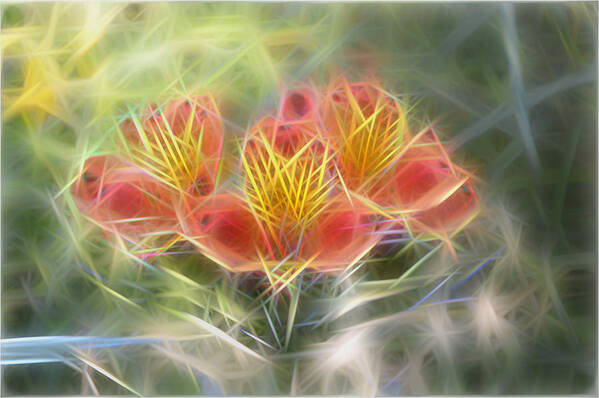 Flower Poster featuring the digital art Flower Streaks by Carol Crisafi