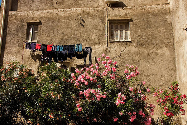 Abstract Poster featuring the photograph Flowers and Clothesline on Old Wall by Darryl Brooks
