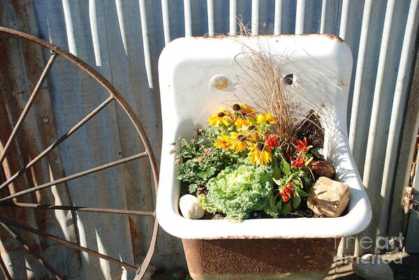 Flowers Poster featuring the photograph Flowers In Sink by Jim Goodman