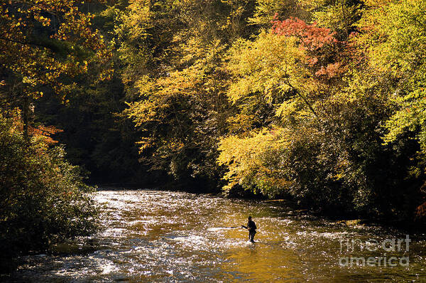 Adult Poster featuring the photograph Fly Fisherman on the Tellico - D010008 by Daniel Dempster
