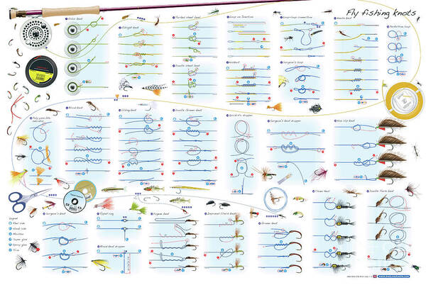 Fly Fishing Knots Poster by Andy Steer - Fine Art America