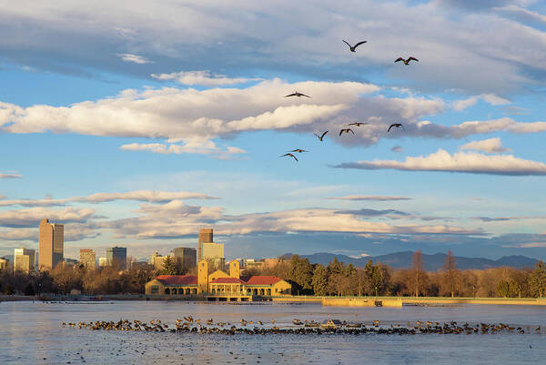 2018 Poster featuring the photograph Flying Geese Over the Denver Skyline from Ferril Lake at Denver by Bridget Calip