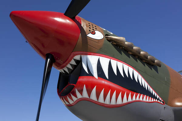 P-40 Poster featuring the photograph Flying tiger plane by Garry Gay