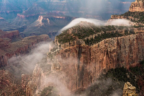 North Rim Grand Canyon Poster featuring the photograph Fog Trail by Chuck Jason