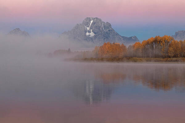 Foggy Alpen Glow At Oxbow Bend Poster featuring the photograph Foggy Alpen Glow at Oxbow Bend by Wes and Dotty Weber
