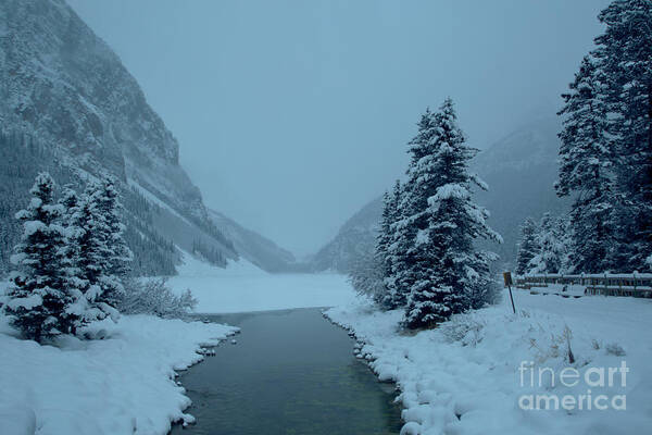  Poster featuring the photograph Foggy And Freezing At Lake Louise by Adam Jewell