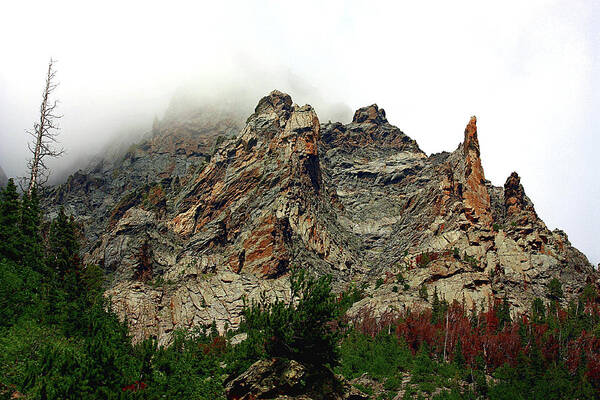 Nature Poster featuring the photograph Colorado Mountain in Fog by Sheila Brown